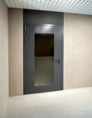 Светопрозрачная серая дверь Светопрозрачная серая дверь